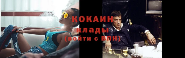 дурь Волосово