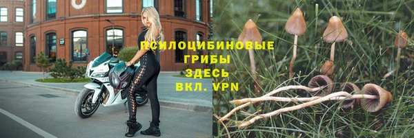 скорость Володарск